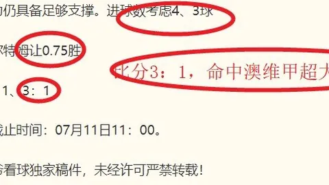 2026世界杯投注网足球投注风向突变争议升温